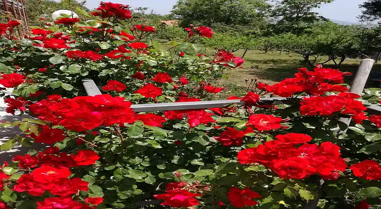 Holiday home in Mascali