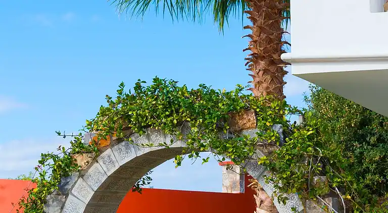 Villa Aphrodite with heated pool and exotic garden