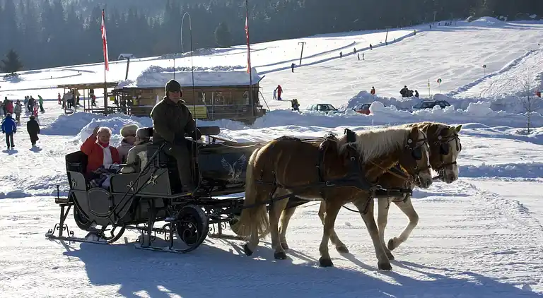 Holiday home in Jenig