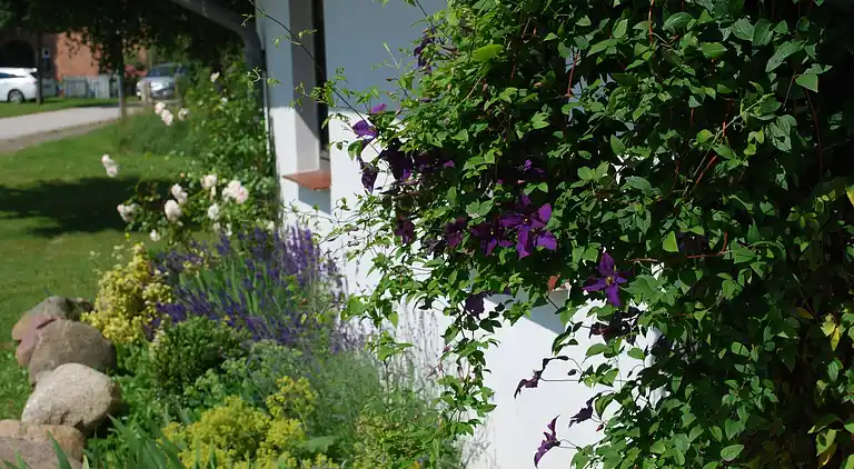 Apartment in Northern Germany