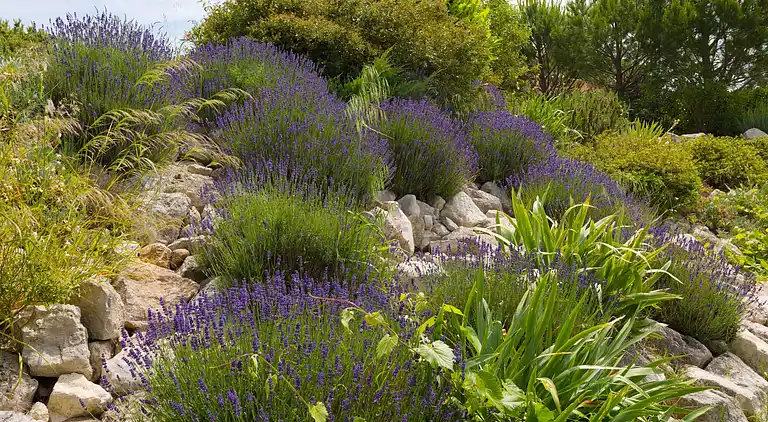 Villa in Languedoc-Roussillon