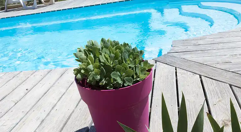 Villa in Languedoc-Roussillon