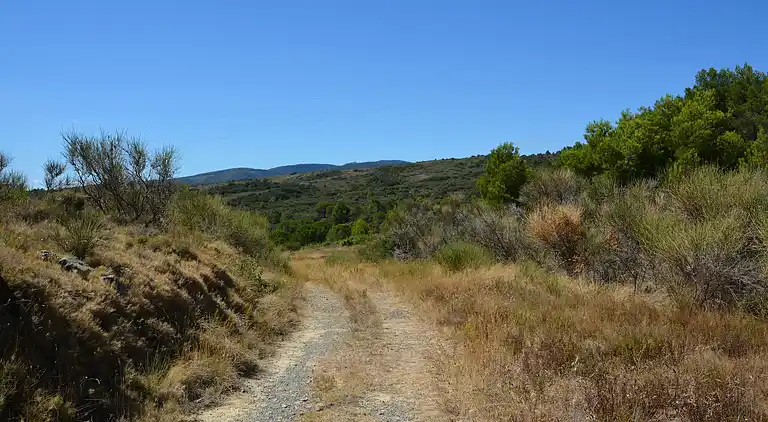 Villa in Languedoc-Roussillon