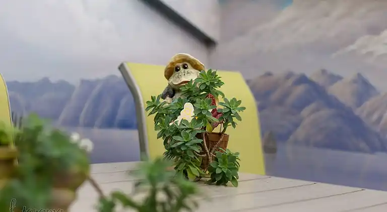 Apartment in Novi Vinodolski