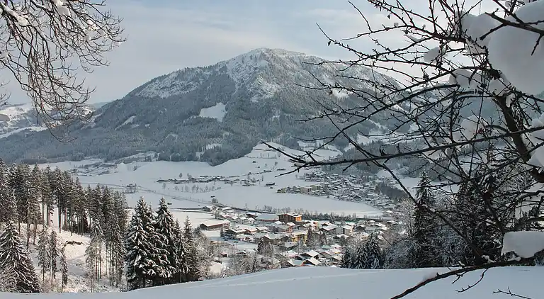 Apartment in Gemeinde Brixen im Thale