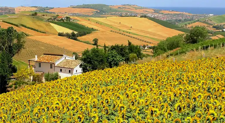 Farm house in Fermo