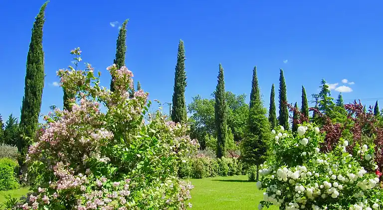 Farm house in Carpentras