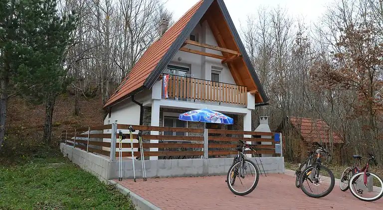 Cottage in Lovinac