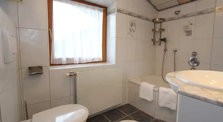 Holiday home in Hollersbach im Pinzgau