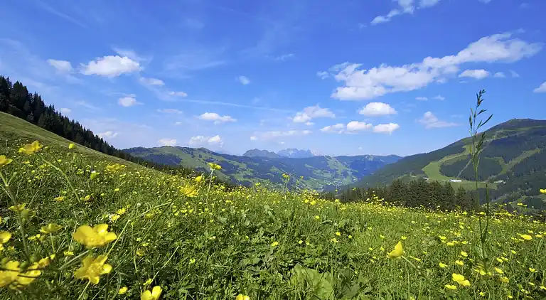 Ferielejlighed i Viehhofen