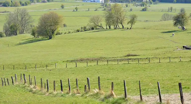Holiday home in Pondrôme