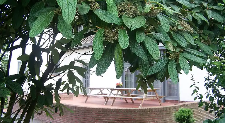 Herrgård i Poperinge