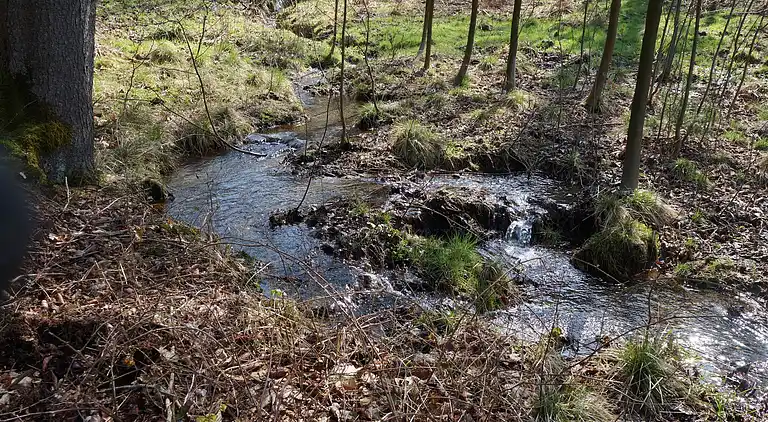 Herrgård i Lehesten