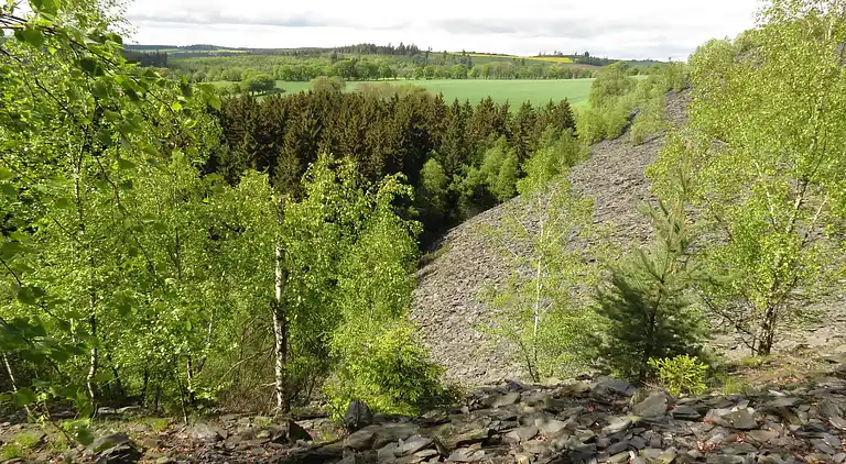 Herrgård i Lehesten