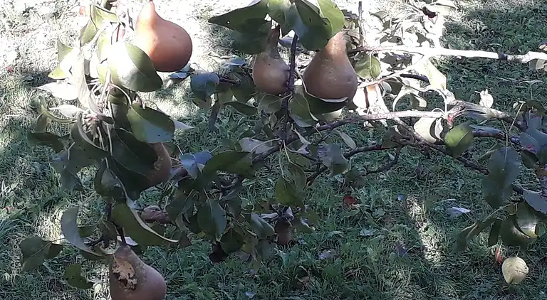 Villa i Campo Tizzoro