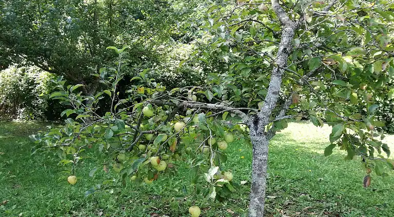 Villa i Campo Tizzoro