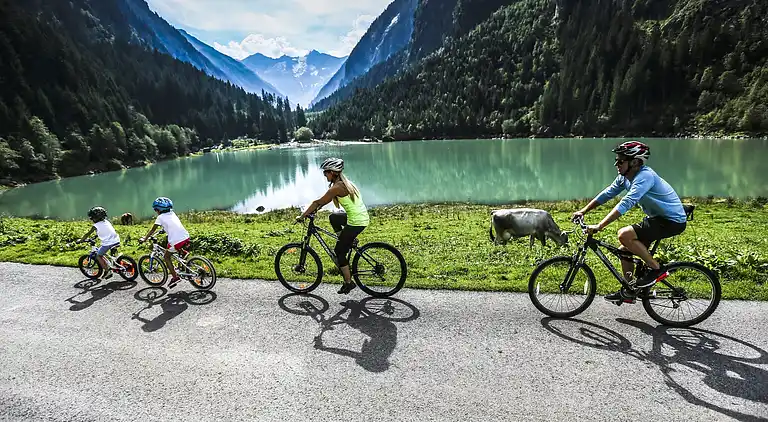 Apartment in Ramsau im Zillertal