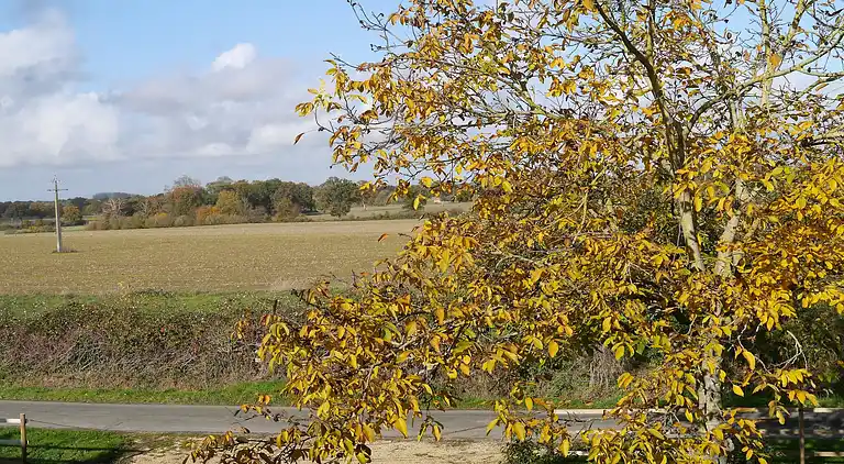Semesterbostad i Champteussé-sur-Baconne