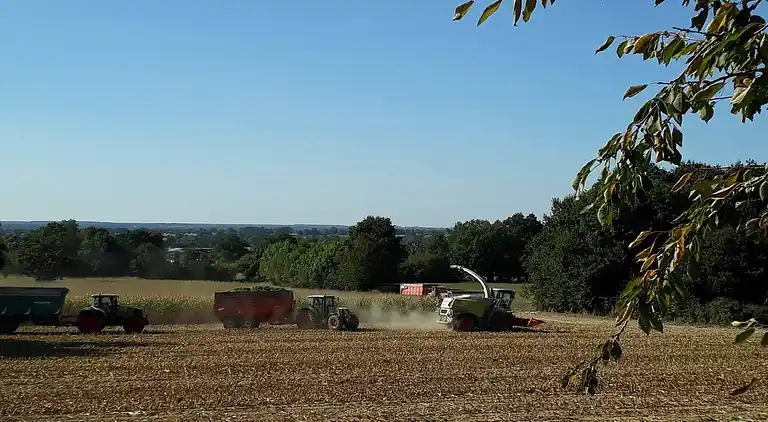 Semesterbostad i Champteussé-sur-Baconne