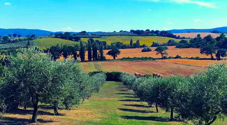 Farm house in San Gemini