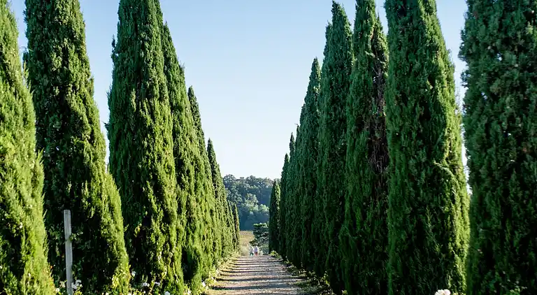 Holiday home in Terricciola