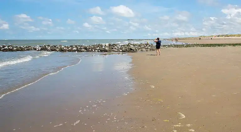 Villa i Bredene-aan-Zee