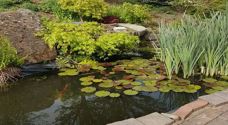Sommerhus i Reyersviller