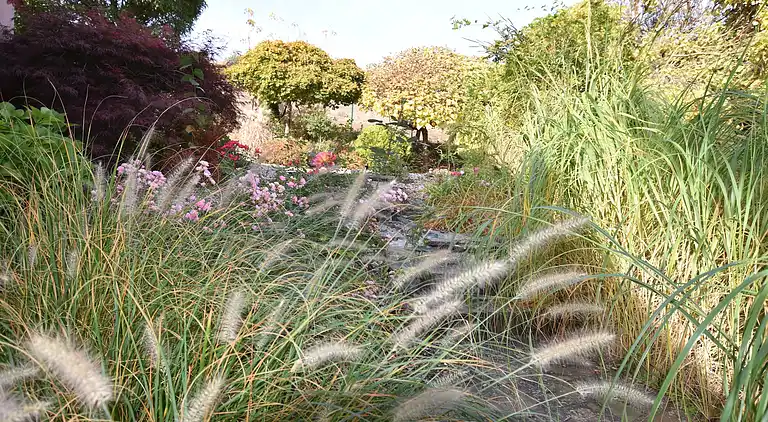 Sommerhus i Reyersviller