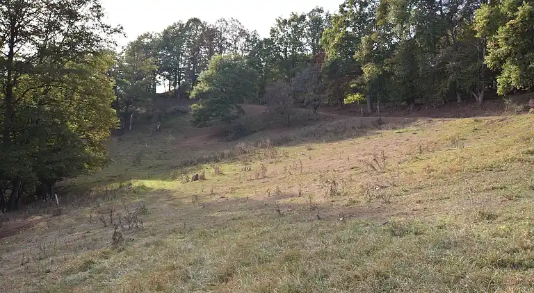 Sommerhus i Reyersviller