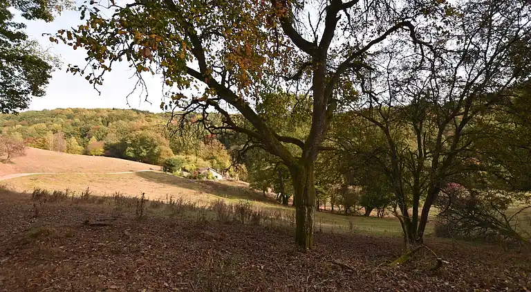 Sommerhus i Reyersviller