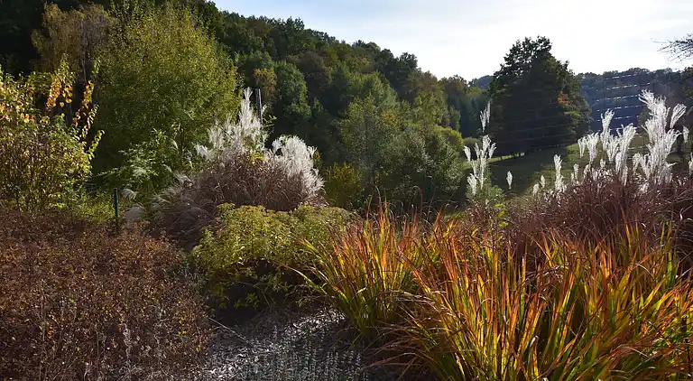 Sommerhus i Reyersviller