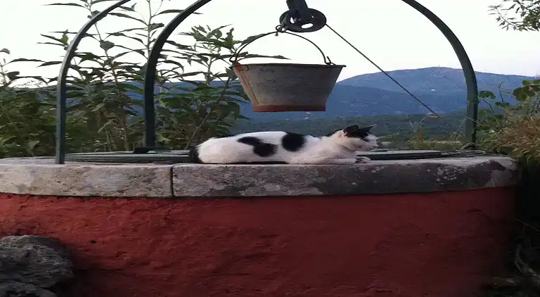 Ferielejlighed i Palaiokastritsa