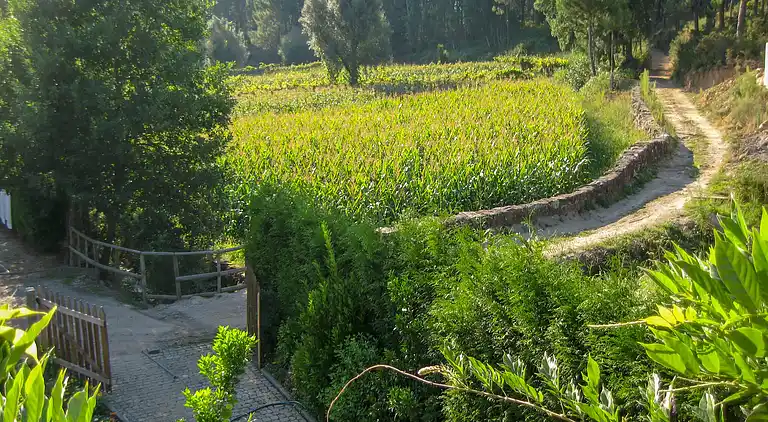 Sommerhus i Fornelos