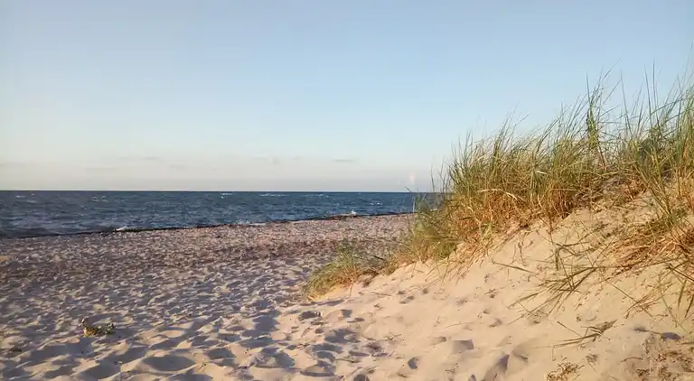 Holiday home in Hohenkirchen