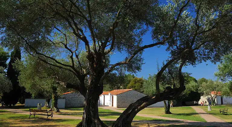 Ferielejlighed i Rovinj