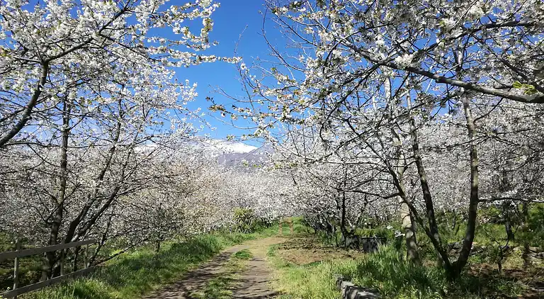 Holiday home in Mascali