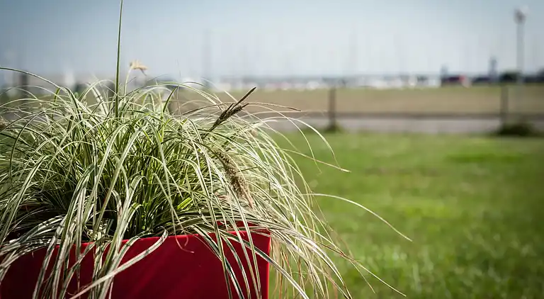 Holiday home in Kamperland