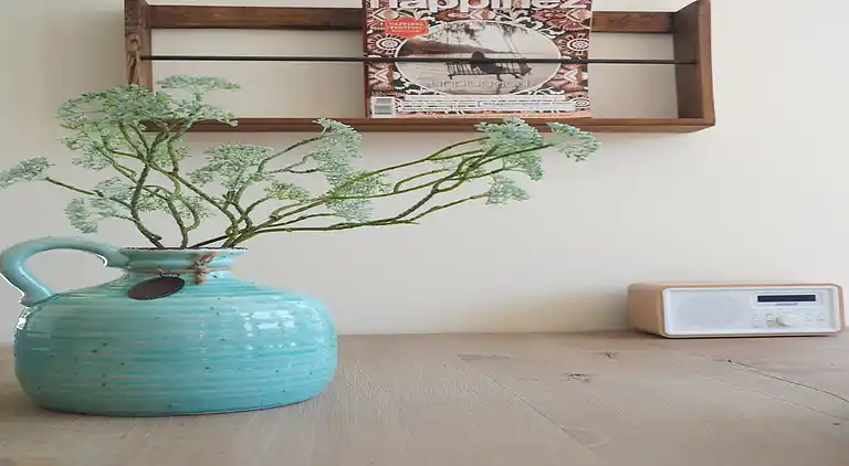 Sommerhus i Egmond aan den Hoef