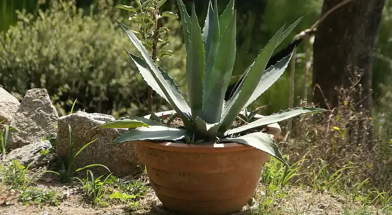 Holiday home in Saint-Laurent-de-Cerdans