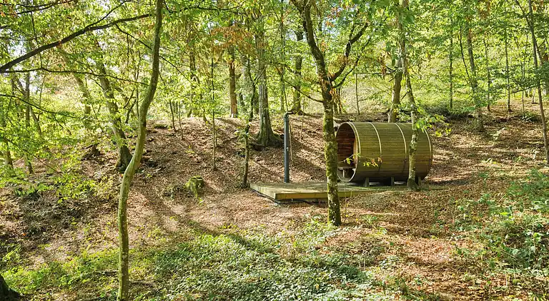 Ferienhaus in Serinchamps