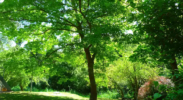 Holiday home in Riudaura