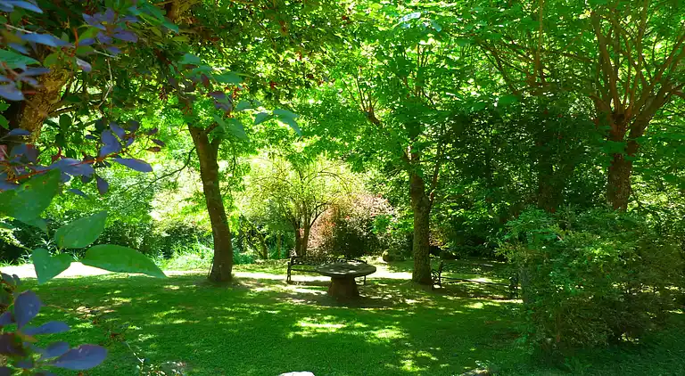 Holiday home in Riudaura