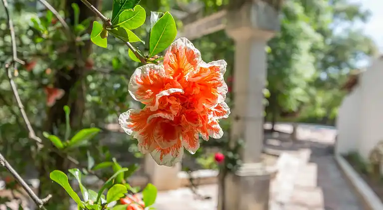 Villa i Zagrilla Baja