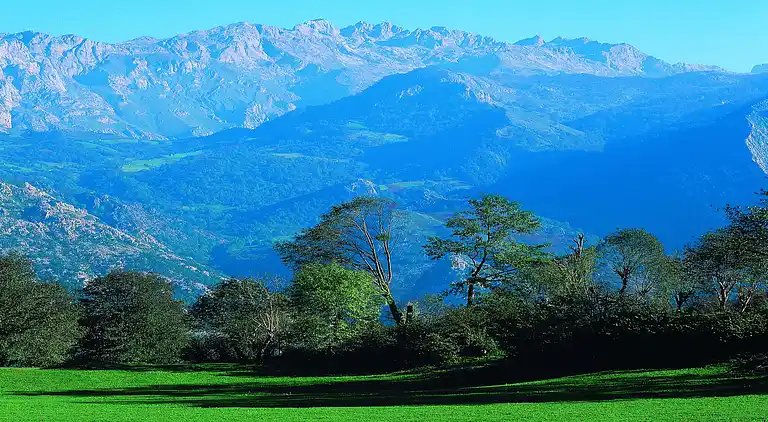 Feriebolig i Ortiguero