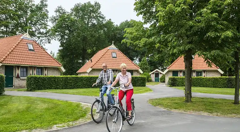 Vakantiehuis in IJhorst
