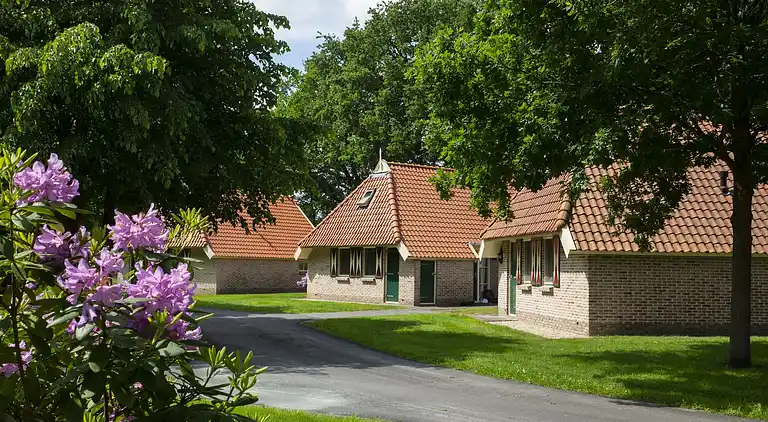 Holiday home in IJhorst