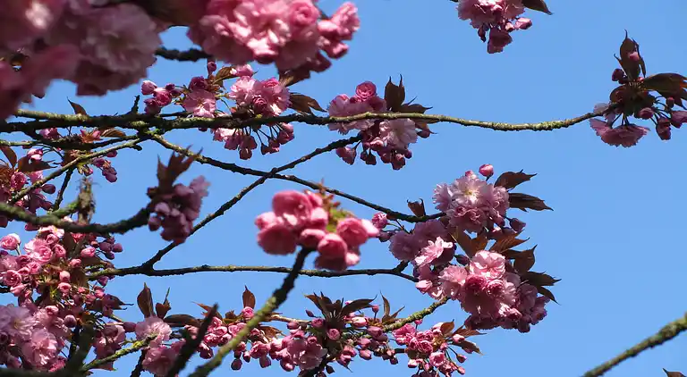 Holiday home in IJhorst