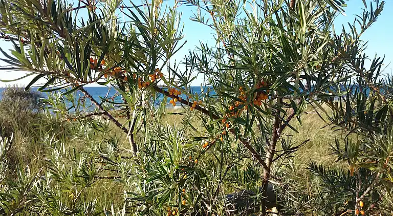 Ferielejlighed i Teschow