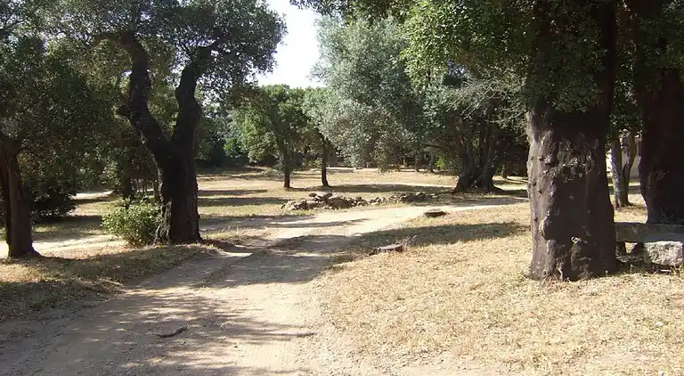 Sommerhus i Porto-Vecchio