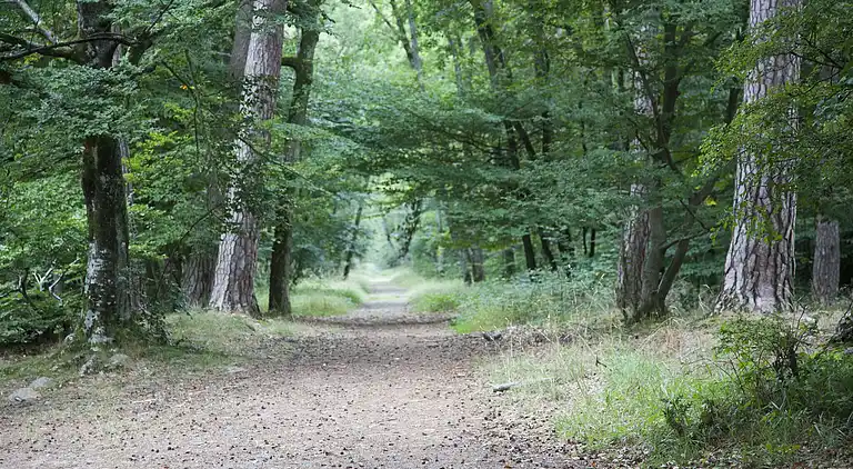 Casa de vacaciones en Villemandeur